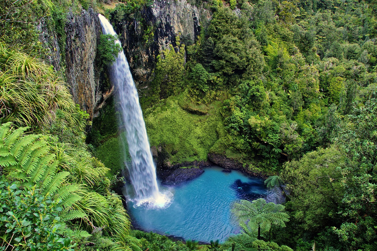 Waikato New Zealand