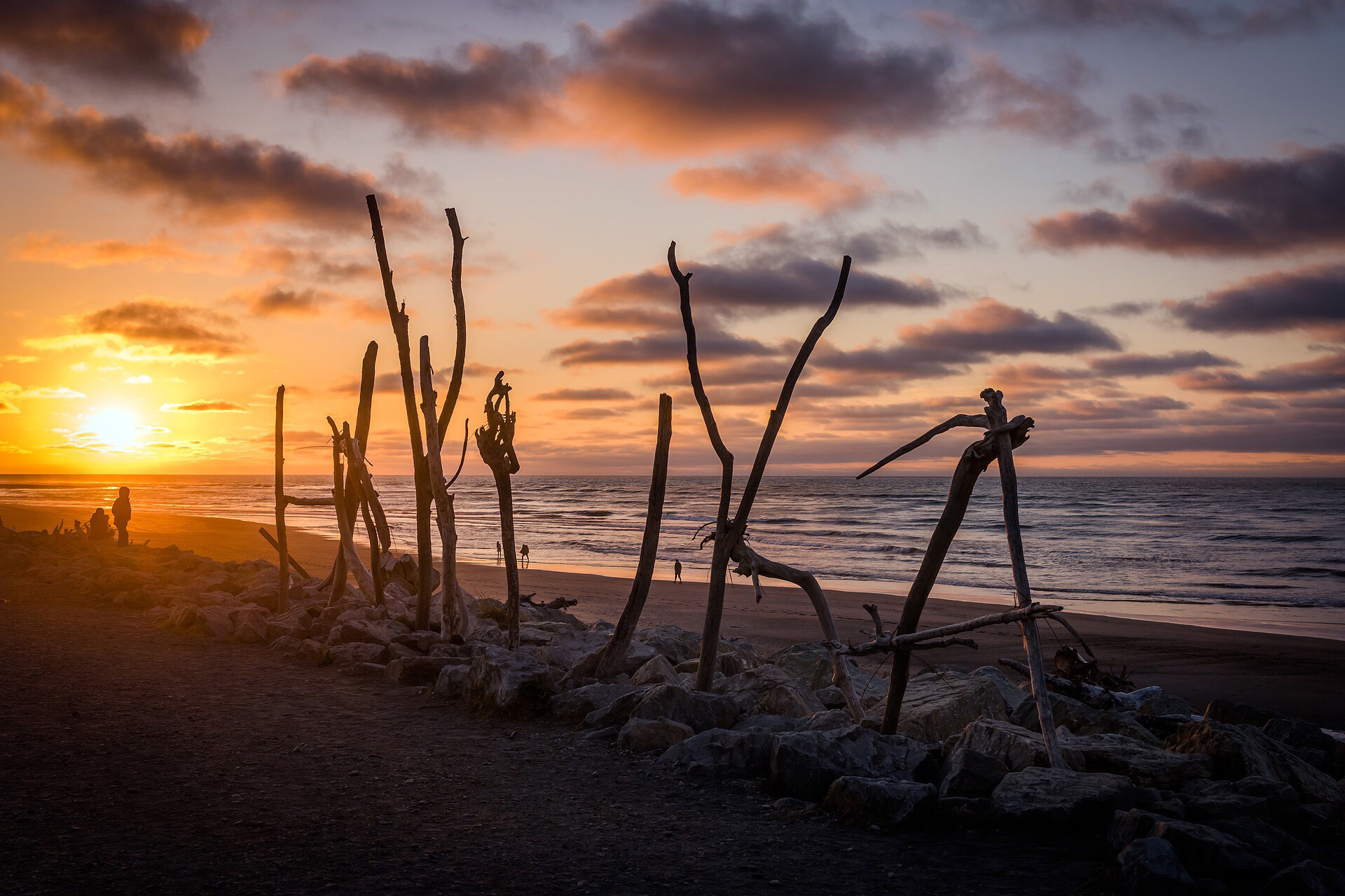 West Coast New Zealand