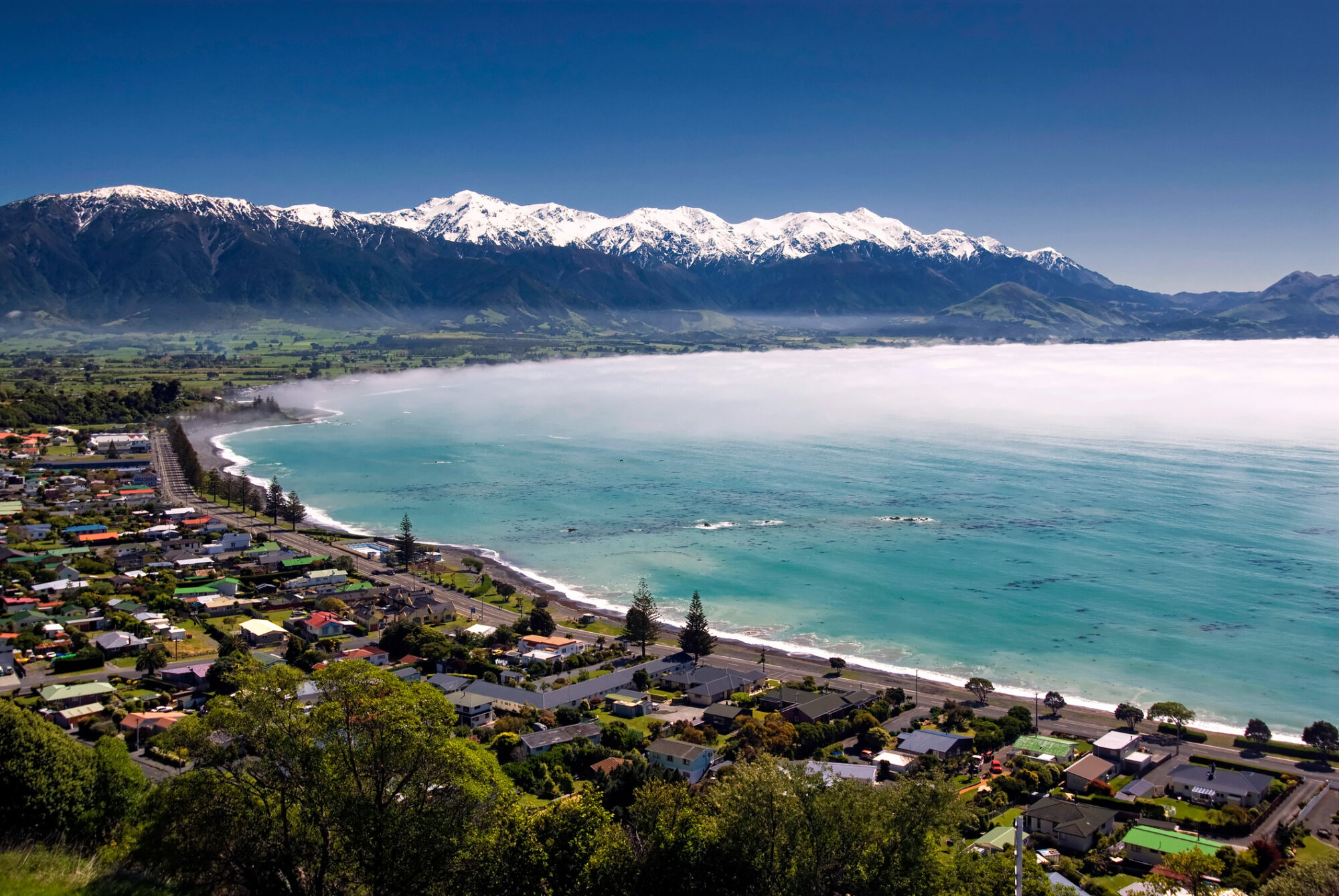 Canterbury region NZ