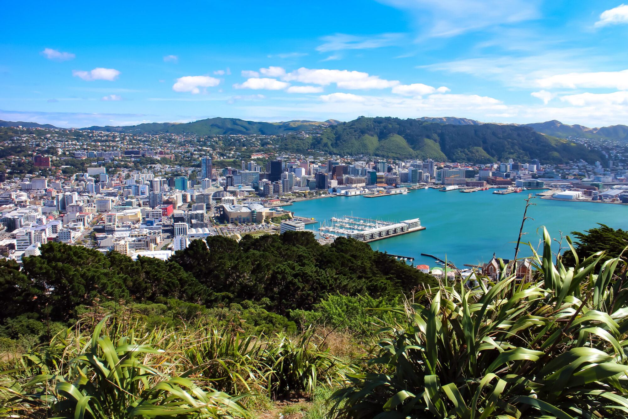 Wellington NZ