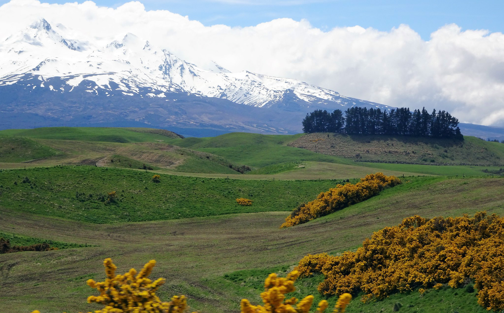 Tongariro National Park