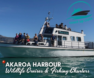 Akaroa Harbour Wildlife Cruises & Fishing Charters
