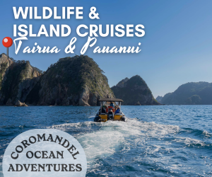 Daily boat tours leaving from Tairua and Pauanui, Coromandel Coromandel Ocean Adventures, Tairua & Pauanui

