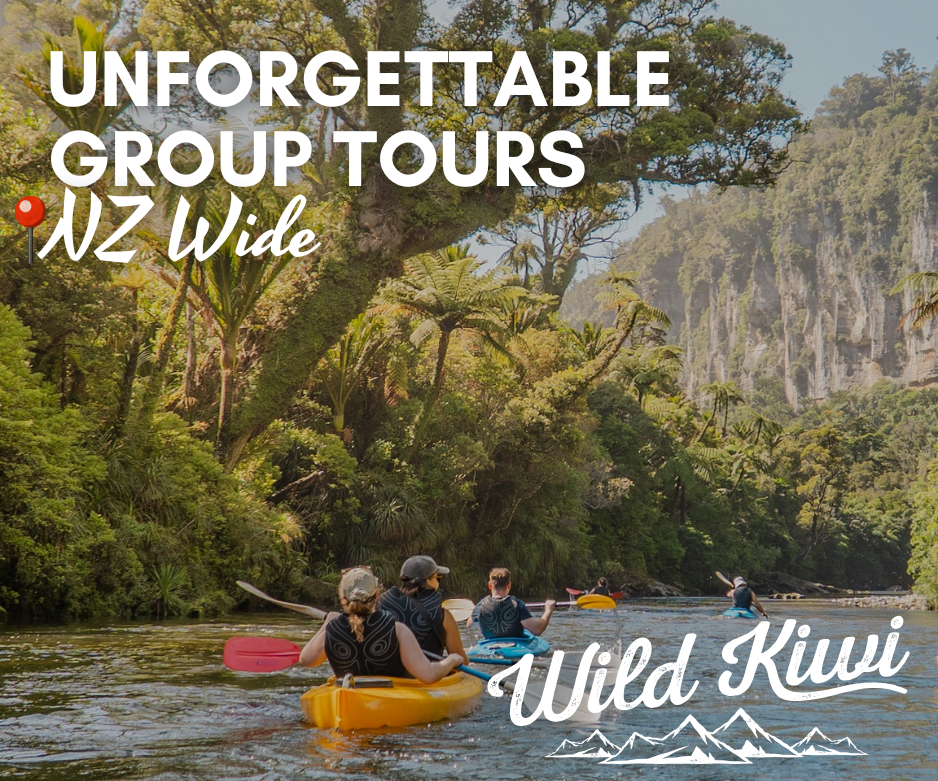 New Zealand Adventure Travel Packages for 18 to 30 year oldsWild Kiwi Adventure Tours, New Zealand
