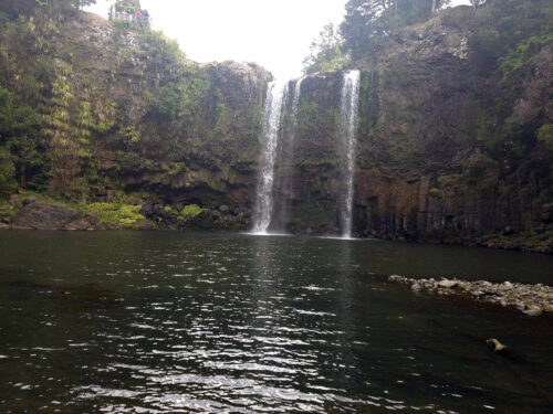 Whangarei Falls NZ